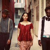 Carolina Chocolate Drops - List pictures