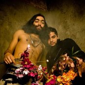 Das Racist - List pictures