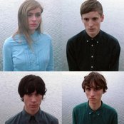 These New Puritans - List pictures