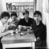 The Feelies - List pictures