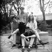 The Vaccines - List pictures