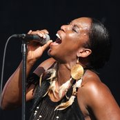 Liv Warfield - List pictures