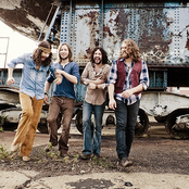 The Sheepdogs - List pictures