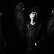 White Ash - List pictures