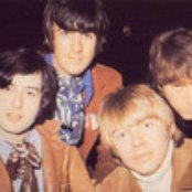 Yardbirds - List pictures