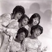 The Crystals - List pictures