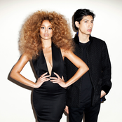 Lion Babe - List pictures