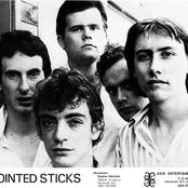 The Pointed Sticks - List pictures