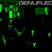 Genuflect - List pictures