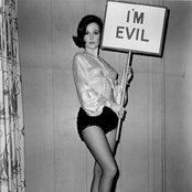 Shelley Fabres - List pictures