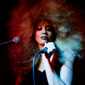 Lion Babe - List pictures