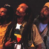 Israel Vibration - List pictures