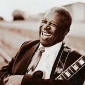 B.b. King - List pictures