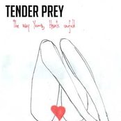 Tender Prey - List pictures