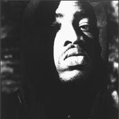 Lord Finesse - List pictures