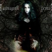 Mandragora Scream - List pictures