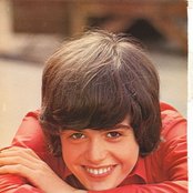 Donny Osmond - List pictures