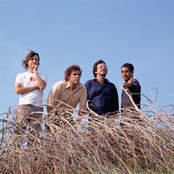 Whitlams - List pictures