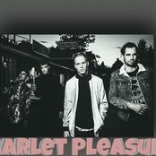 Scarlet Pleasure - List pictures