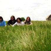 The Sheepdogs - List pictures