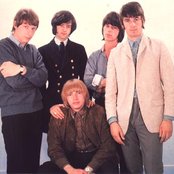 Yardbirds - List pictures