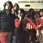 Flamin' Groovies - List pictures