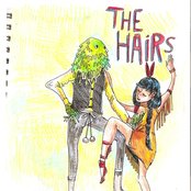 The Hairs - List pictures