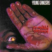 Young Gangstas - List pictures