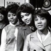 The Crystals - List pictures