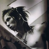 Acid Black Cherry - List pictures