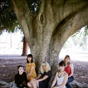 Peach Kelli Pop - List pictures