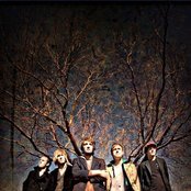 Green River Ordinance - List pictures