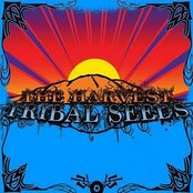 Tribal Seeds - List pictures