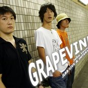 Grapevine - List pictures